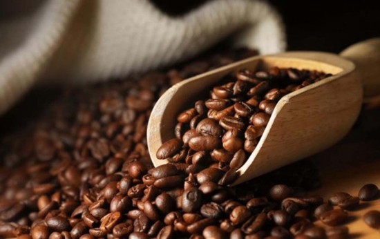 Lý giải biến động giá cà phê quốc tế và diễn biến tại thị trường trong nước