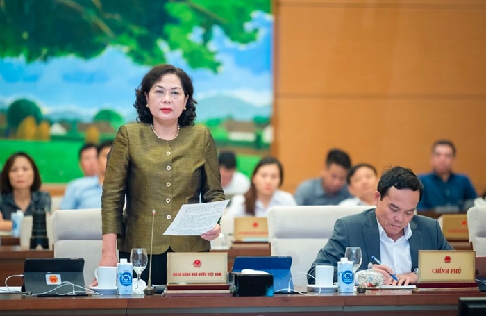 Thống đốc Nguyễn Thị Hồng: Khó có thể xử lý triệt để sở hữu chéo ngân hàng