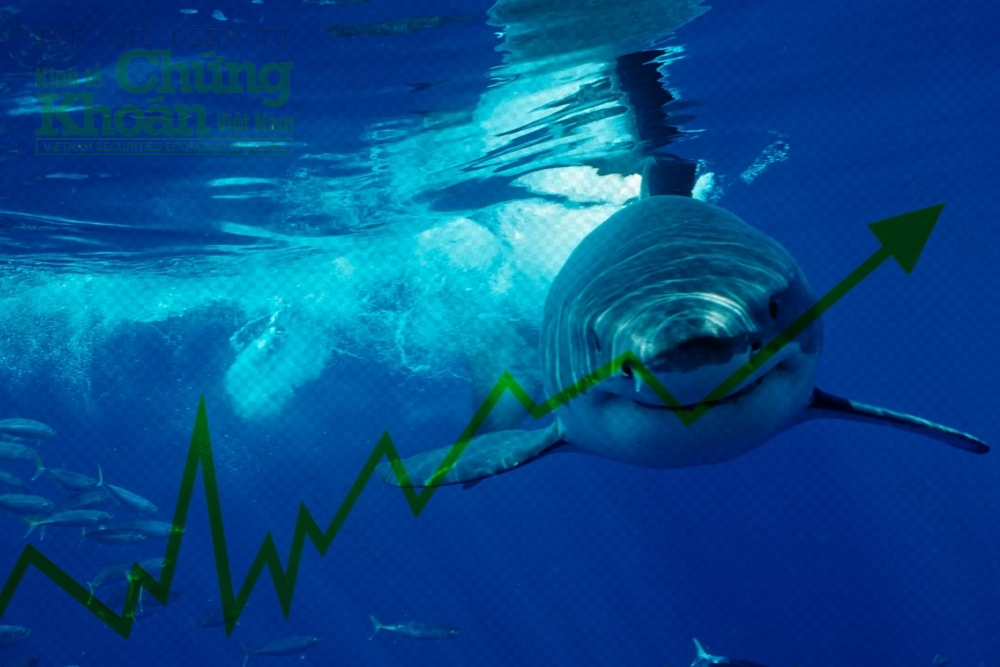 Dòng tiền cá mập 29/9: Xả hàng tại nhóm chứng khoán, thăm dò cổ phiếu họ Vingroup