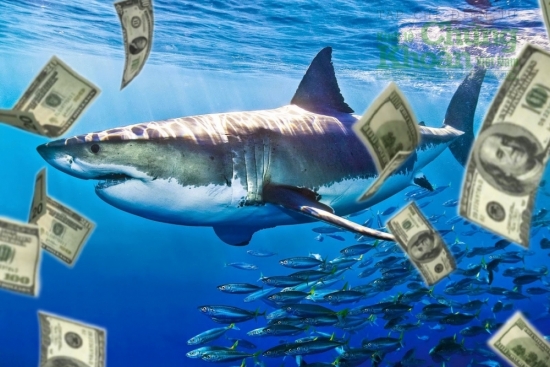 Dòng tiền cá mập 2/10: Thăm dò cổ phiếu chứng khoán khi thanh khoản VN-Index sụt giảm