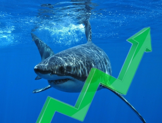 Dòng tiền cá mập 4/10: Thăm dò thị trường trước mùa BCTC quý 3