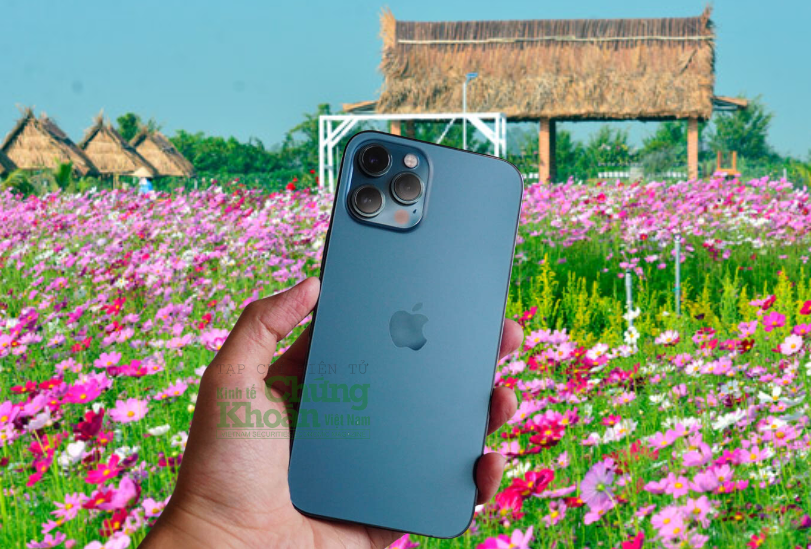 iPhone 12 Pro đang có giá bao nhiêu mà nhiều người 