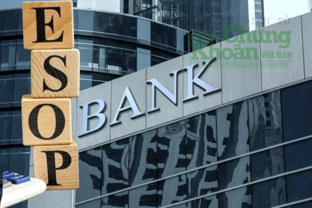 Điểm danh loạt ngân hàng phát hành cổ phiếu ESOP
