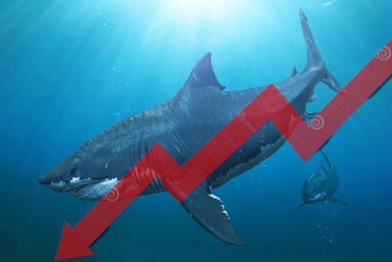 VN-Index "trượt dốc" về vùng 1.120 điểm, "cá mập" mạnh tay thoát hàng