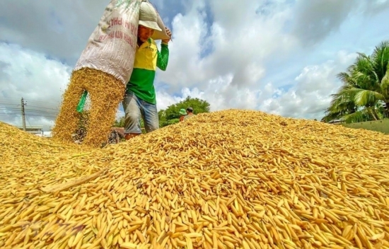 Ngành nông nghiệp châu Phi mong muốn được hợp tác với Việt Nam