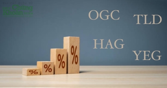 HAG, TLG, OGC, YEG,... "ngược dòng" thị trường trong ngày VN-Index trả điểm