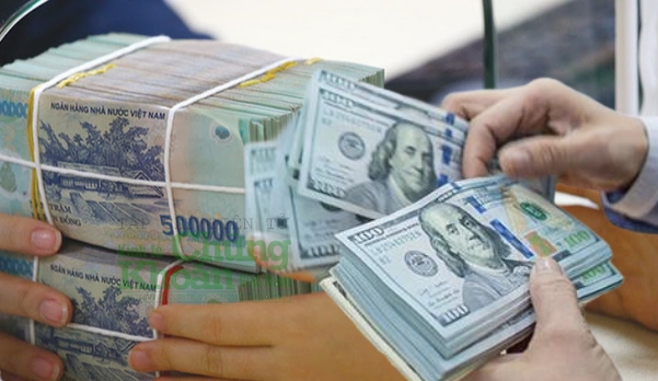 Tỷ giá ngoại tệ hôm nay 24/10: USD quay đầu giảm so với các đồng tiền khác