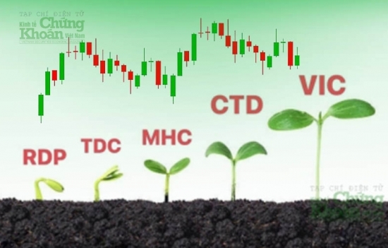 Loạt cổ phiếu "ngược dòng" thị trường, VN-Index gọi tên TDC, CTD, VIC, MHC,...