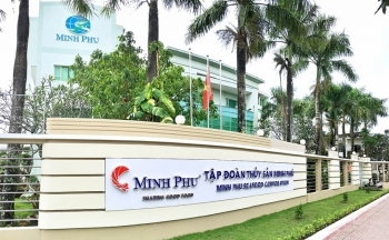 “Vua tôm” Minh Phú (MPC) lại báo lỗ, cổ phiếu tìm về đáy 1 năm