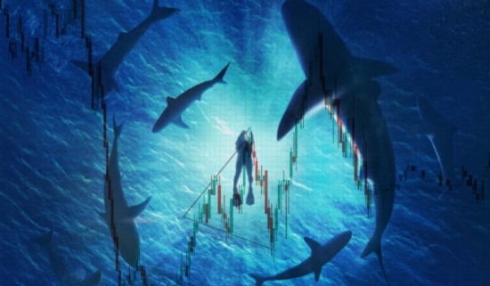 Dòng tiền "cá mập" suy yếu, VN-Index "dậm chân tại chỗ"