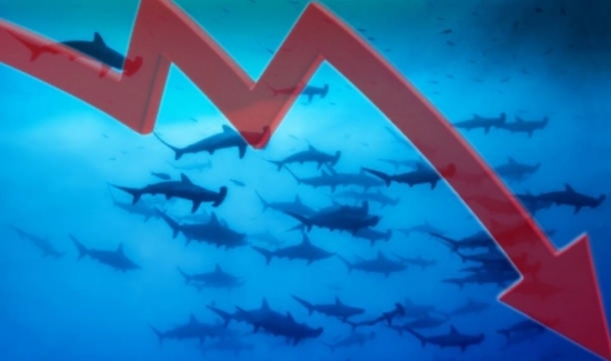 Dòng tiền "cá mập" liên tục tháo chạy, VN-Index khó tiến tới vùng 1.100 điểm