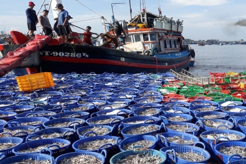 Tập trung thực hiện các giải pháp cấp bách chống khai thác hải sản bất hợp pháp