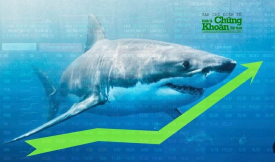 Dòng tiền cá mập đổ bộ cuối phiên, VN-Index "phi mã" vượt qua vùng 1.100 điểm
