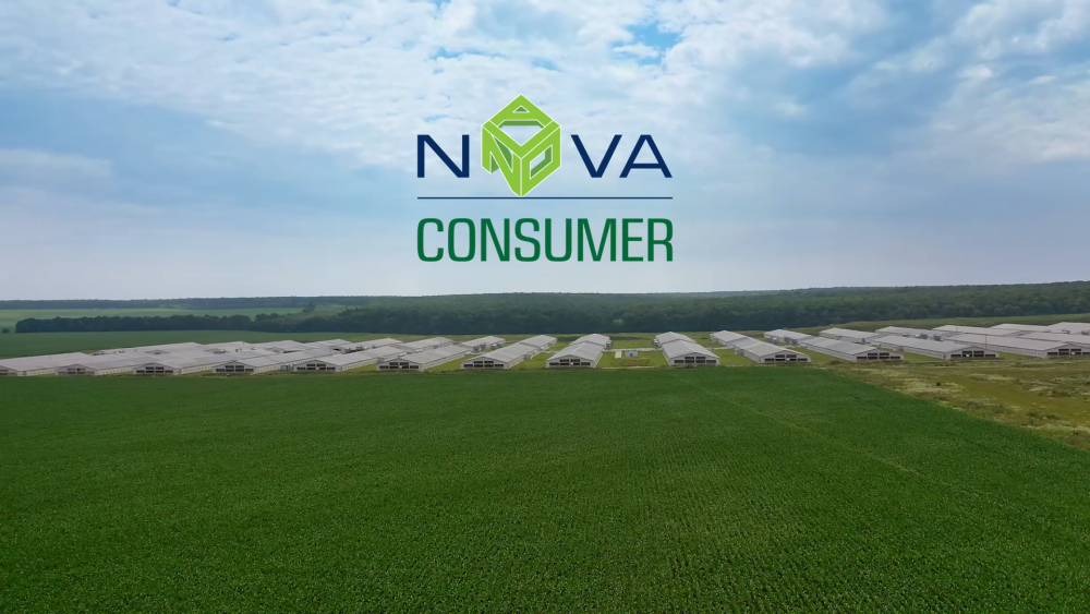 Thất vọng với phiên chào sàn, vốn hóa Nova Consumer (NCG) "bốc hơi" hơn 1.800 tỷ