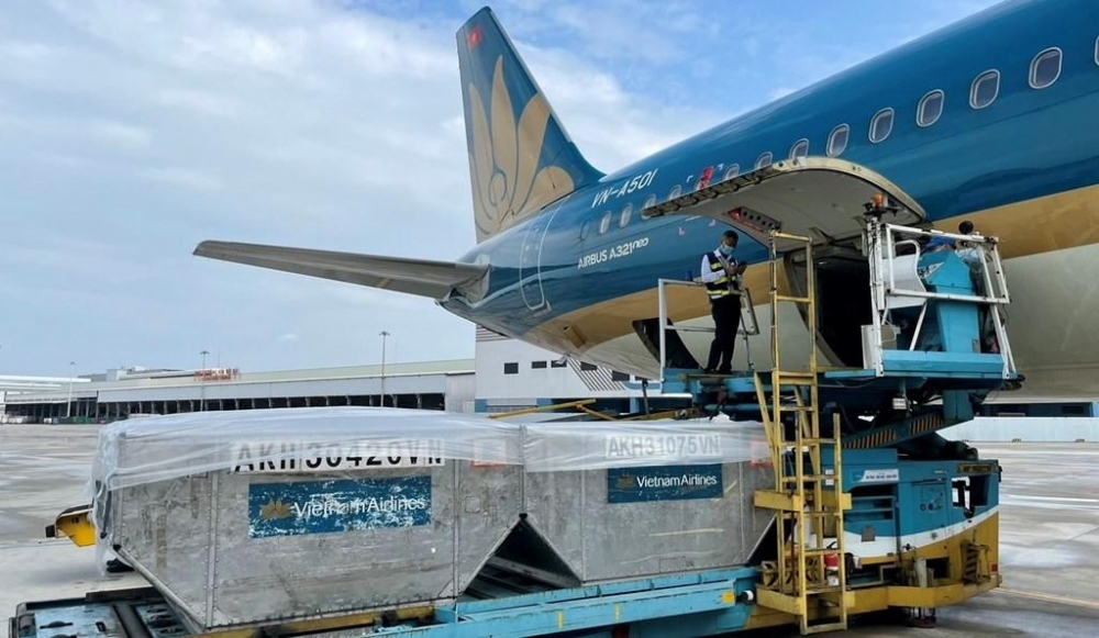 Vietnam Airlines sắp nhận hơn 43 tỷ đồng cổ tức từ Dịch vụ hàng hóa Nội Bài (NCT)