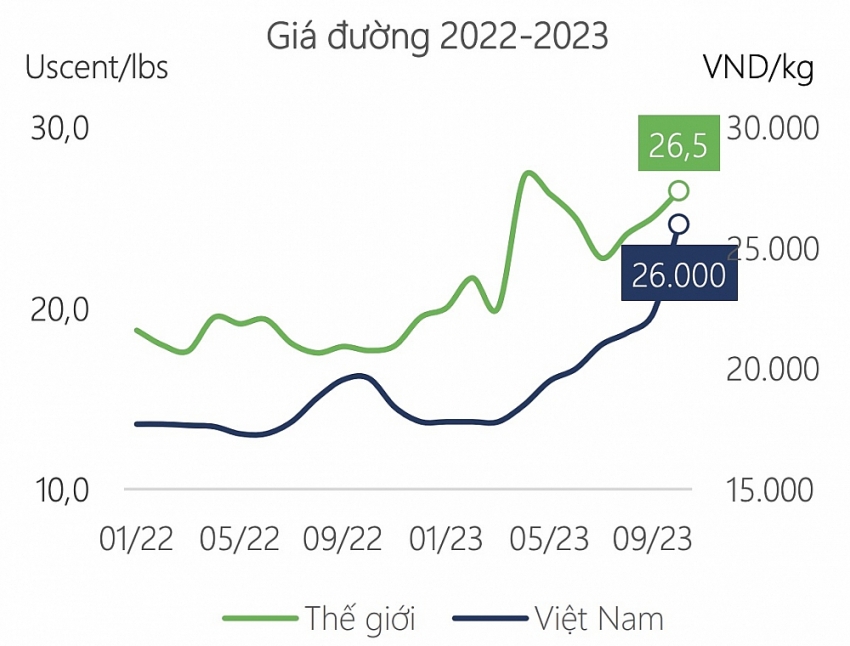 Diễn biến giá đường tại Việt Nam và trên thị trường thế giới giai đoạn 2022 - 2023. (Nguồn: DSC)