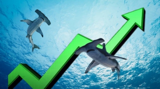 Thanh khoản thị trường giảm mạnh, dòng tiền cá mập đổ bộ cuối phiên