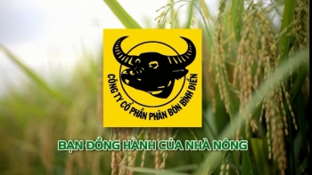 Phân bón Bình Điền đón tin vui, cổ phiếu BFC tăng vượt đỉnh năm 2023