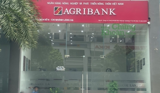 Agribank sắp bán đấu giá khoản nợ gần 500 tỷ của Đá quý và Trang sức Đức Tiến