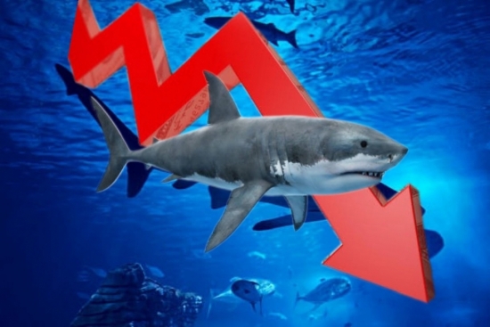 Thanh khoản thị trường giảm sâu, dòng tiền "cá mập" tháo chạy toàn phiên