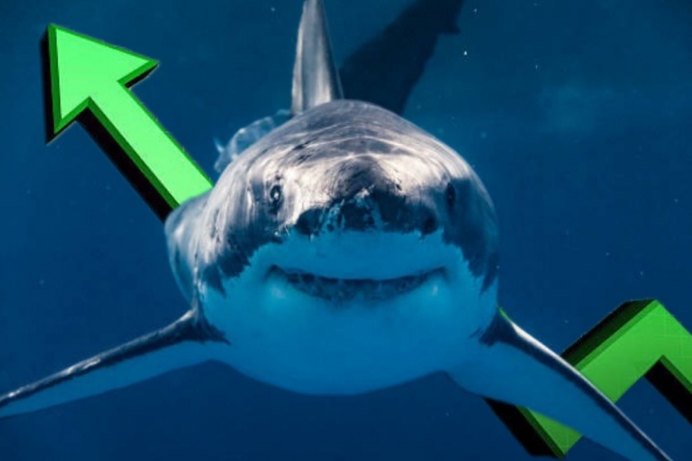 VN-Index vượt mốc 1.100 điểm, dòng tiền cá mập "rút chân" khỏi nhóm Ngân hàng