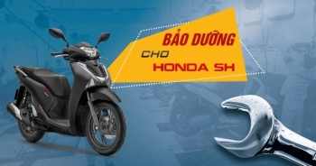 Bí kíp bảo dưỡng xe máy Honda SH luôn như mới không phải ai cũng biết