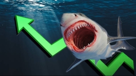 VN-Index trở lại mốc 1.100 điểm, dòng tiền cá mập giằng co và thận trọng