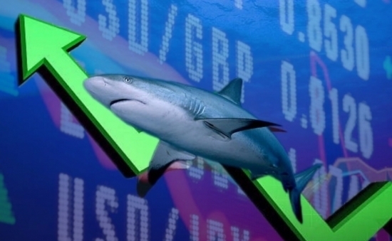 VN-Index "chùng chân" tại 1.100 điểm, dòng tiền cá mập không còn ưa chuộng nhóm Chứng khoán