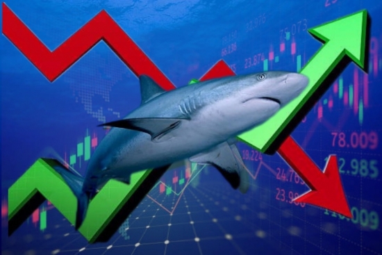 Tâm lý dòng tiền "cá mập" thận trọng, thanh khoản thị trường ảm đạm