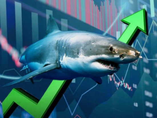VN-Index "bứt phá" 14 điểm, dòng tiền cá mập đổ bộ toàn phiên