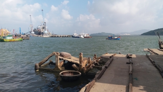 Cảng Quy Nhơn (QNP) và hành trình gian nan để cập bến HOSE