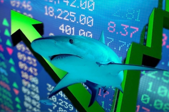 Dòng tiền cá mập "đột phá" thanh khoản, VN-Index "tuột tay" khỏi mốc 1.160 điểm