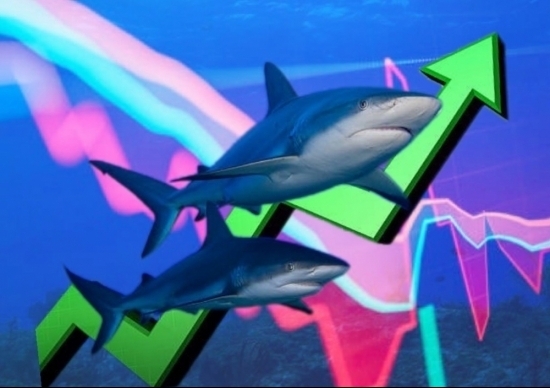 Dòng tiền cá mập liên tục "giằng co", thị trường chứng khoán "xanh vỏ đỏ lòng"
