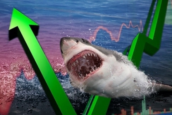 VN-Index "lầm lũi" tiến sát vùng 1.170 điểm, dòng tiền cá mập "đổ bộ" cặp đôi VHM và PDR