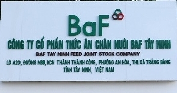 Nông nghiệp BAF: “Thâu tóm” một công ty ở Gia Lai, phát hành 7,1 triệu cổ phiếu ESOP
