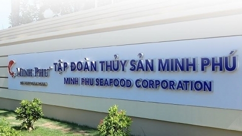 Ái nữ nhà "vua tôm" Minh Phú gom thành công 1,8 triệu cổ phiếu MPC sau thương vụ chuyển nhượng