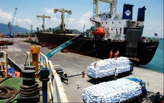 Cảng Quy Nhơn (QNP): Cổ đông "đón lộc sớm" và lời giải đáp của công ty