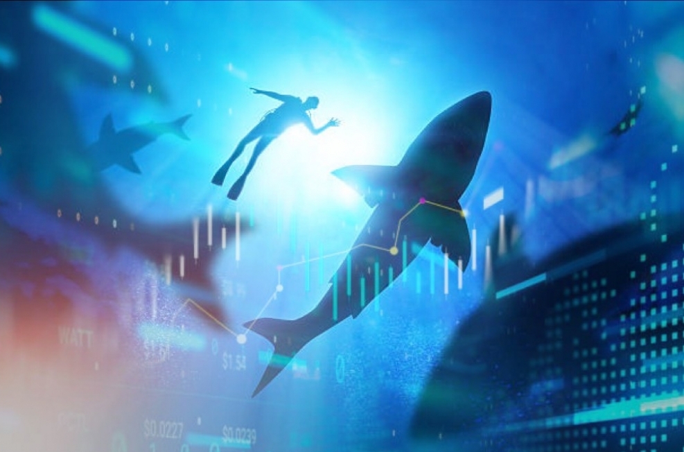 Dòng tiền cá mập mạnh tay "bơm vốn", bộ đôi VHM - VIC dẫn dắt thị trường