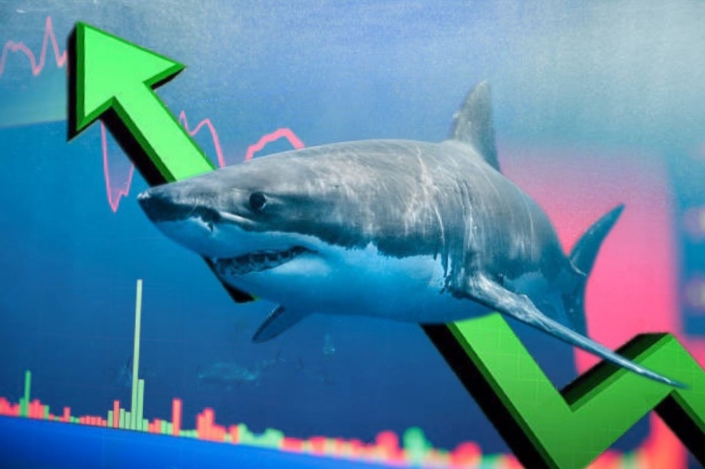 Nhóm Chứng khoán "đón" dòng tiền cá mập, VN-Index trả điểm mạnh mẽ