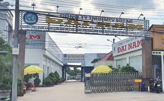 VietinBank rao bán nhà máy 100 tỷ của Bột mì Đại Nam