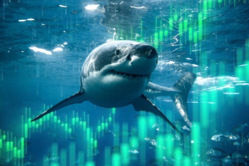Nhóm Bất động sản "đón" dòng tiền cá mập, VCB tạo "gánh nặng" cho thị trường