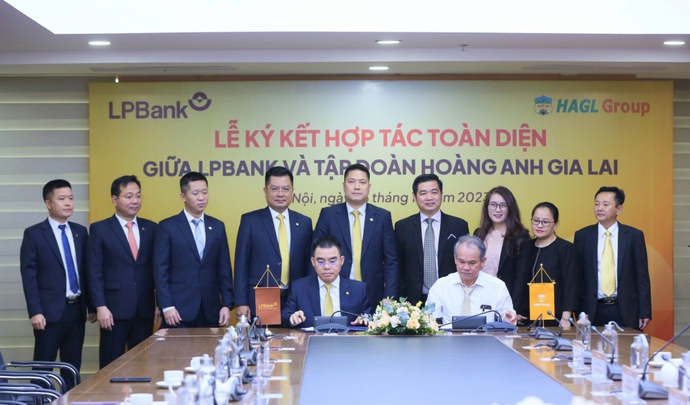Được LPBank (LPB) “rót” 5.000 tỷ đồng, Hoàng Anh Gia Lai (HAG) sẽ nâng diện tích cây trồng lên 25.000 ha
