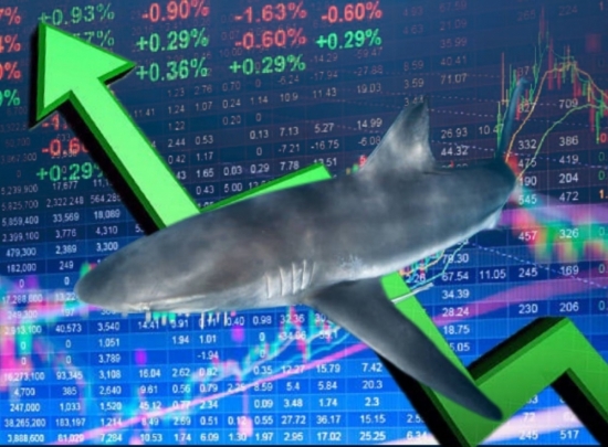 Thanh khoản dòng tiền cá mập ở mức thấp, BID và GVR "gánh" chỉ số VN-Index