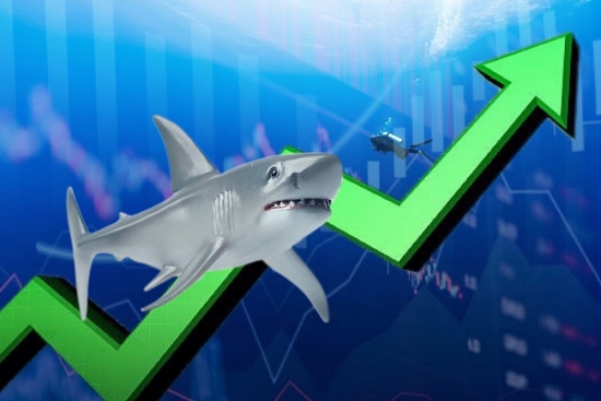 Dòng tiền cá mập "bứt tốc" thanh khoản, VN-Index "bay cao" cuối phiên