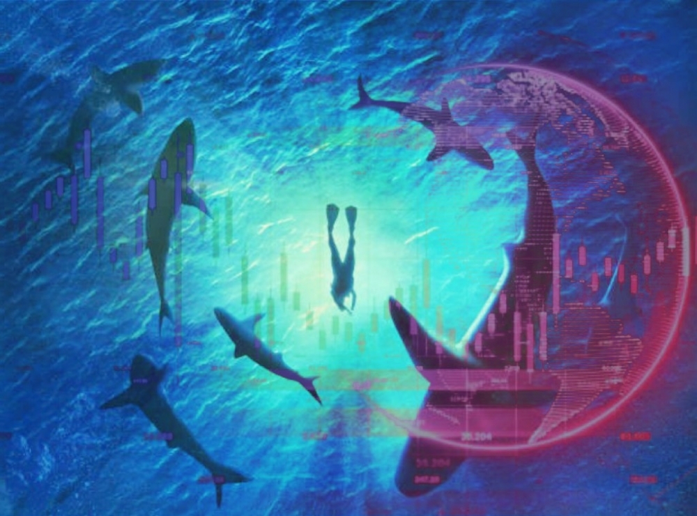 Dòng tiền cá mập đua nhau "xả hàng", thị trường chuyển xanh sang đỏ