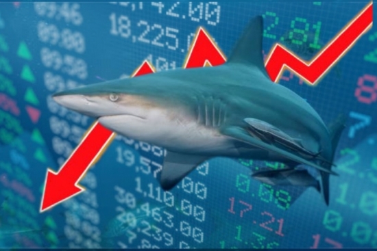 VN-Index giằng co cuối phiên, DIG "đón" dòng tiền cá mập sau tin tăng vốn "khủng"