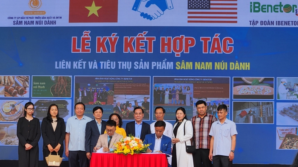 Bắc Giang: Xúc tiến tiêu thụ sản phẩm sâm Nam núi Dành trong và ngoài nước