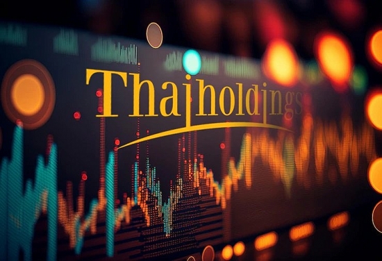 Thaiholdings đạt lợi nhuận sau thuế hơn 220 tỷ đồng