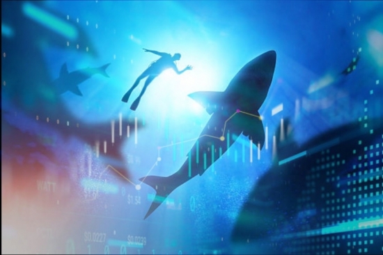 Cổ phiếu STB dẫn dắt dòng tiền cá mập, VN-Index khởi sắc cuối phiên