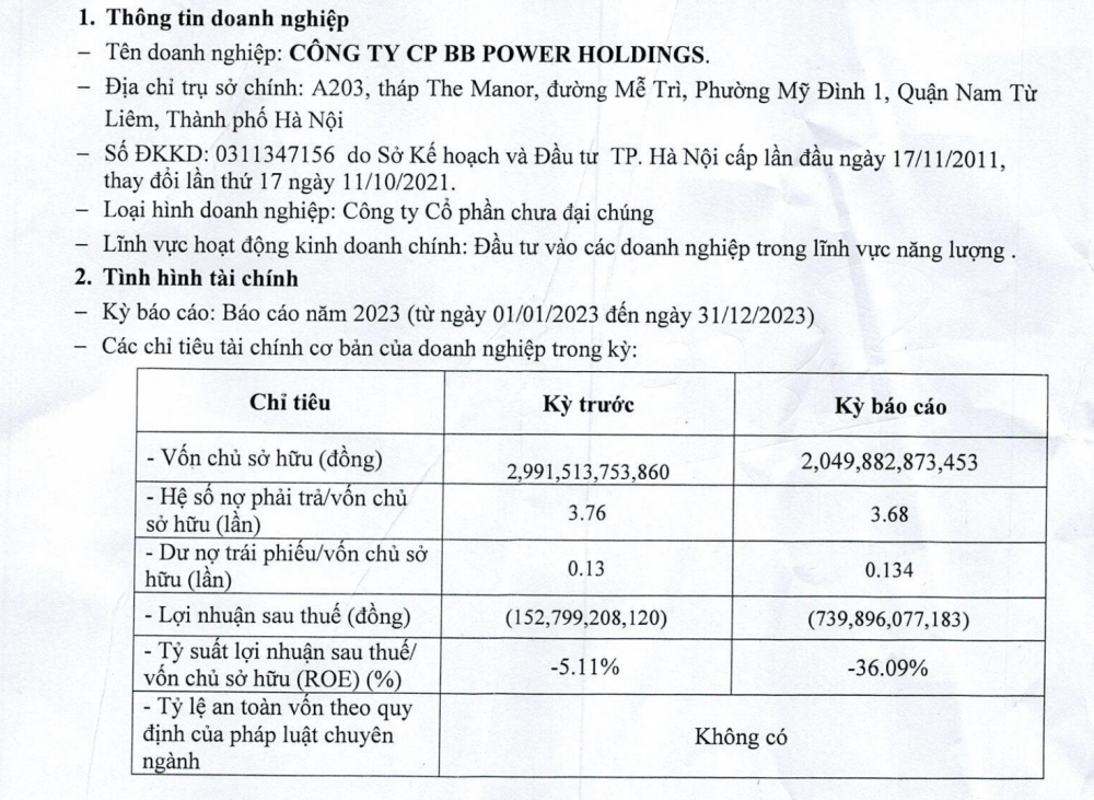 BB Power Holdings của “đại gia năng lượng” Vũ Quang Bảo báo lỗ nặng nhất 3 năm, không thể thu xếp trả nợ trái phiếu